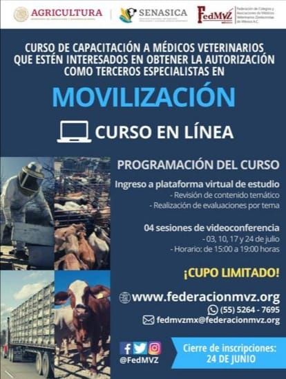Odoo • Image and Text